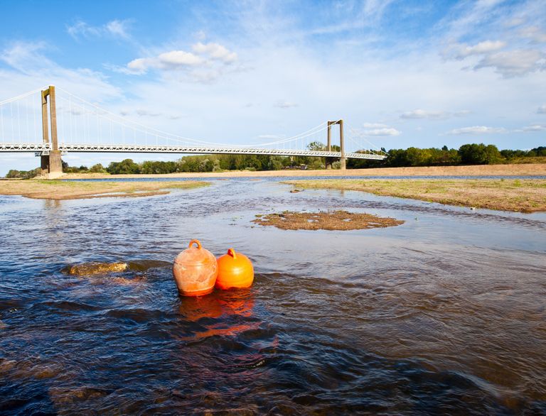 Eau potable, navigation, vendanges... : les conséquences de la sécheresse Eau potable, navigation, vendanges... : les conséquences de la sécheresse