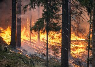 Eccezionale ondata di incendi in Svezia, in azione i canadair italiani