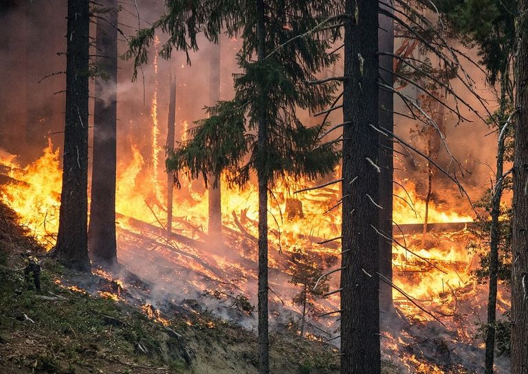 incendi-svezia-2018 incendi-svezia-2018