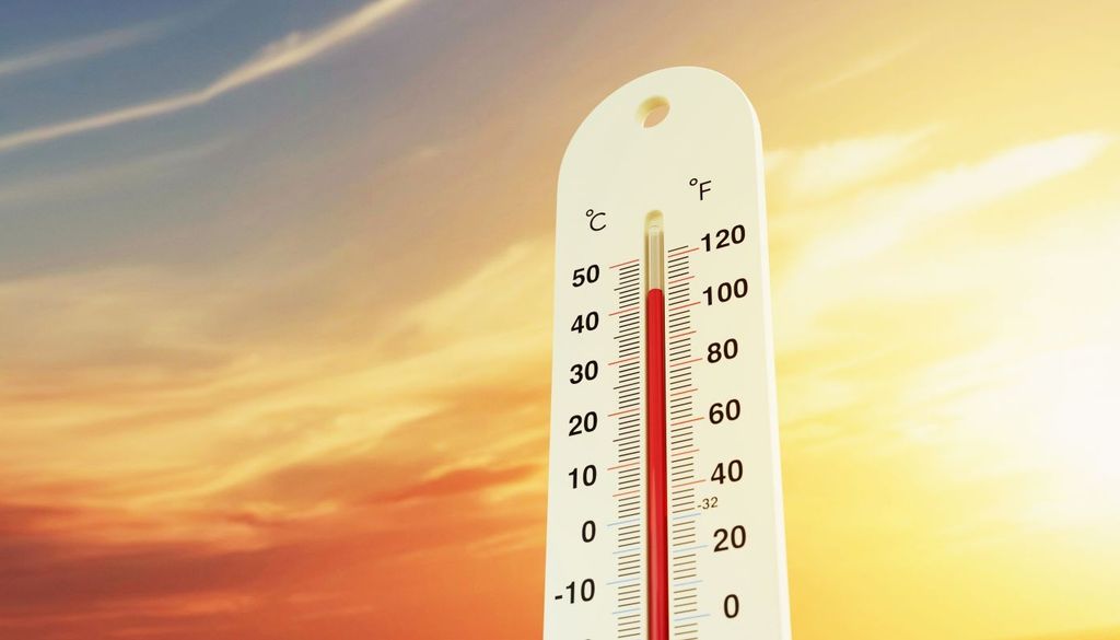 Le ondate di calore, definite come episodi prolungati di temperature eccezionalmente elevate, sono diventate più frequenti e intense in Europa a partire dalla seconda metà del XX secolo.
