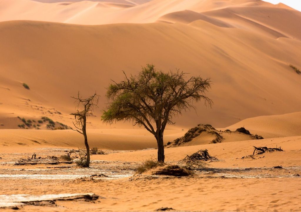 Sahara. Sahara.