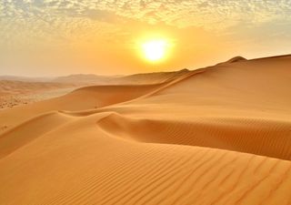 Ecco la prima linea di tendenza dell'estate 2024: sarà davvero un'altra stagione estiva molto calda?