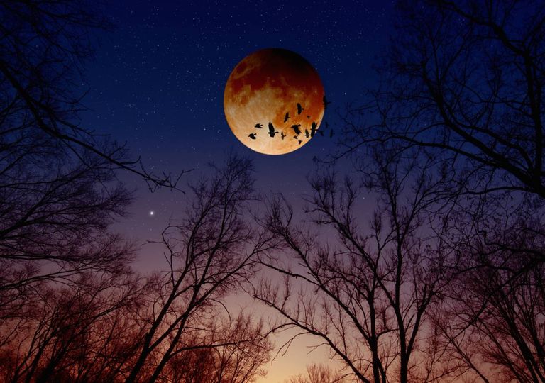 Eclipse Lua Eclipse Lua