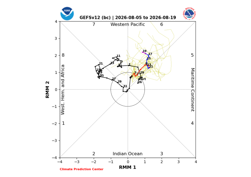 Proyección de la MJO para la primera quincena de agosto de 2026. Su evolución podría influir en la actividad frontal sobre Chile. Créditos: NOAA/CPC.