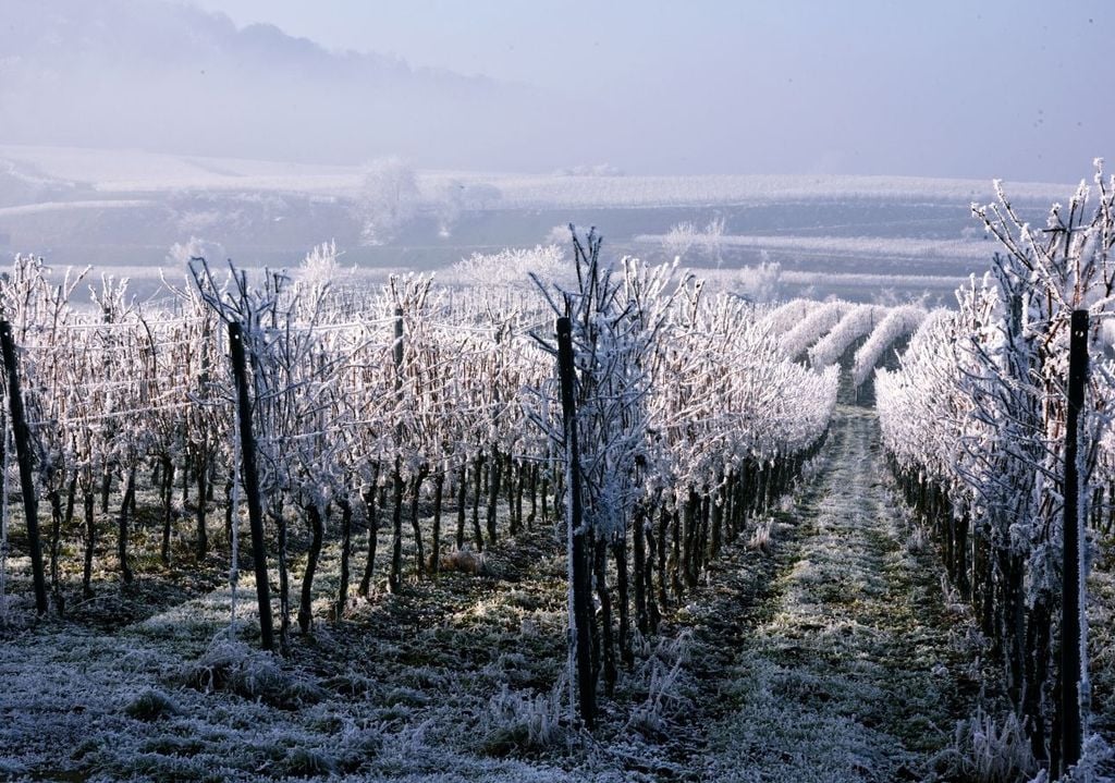 Neve a bassa quota. Neve a bassa quota.