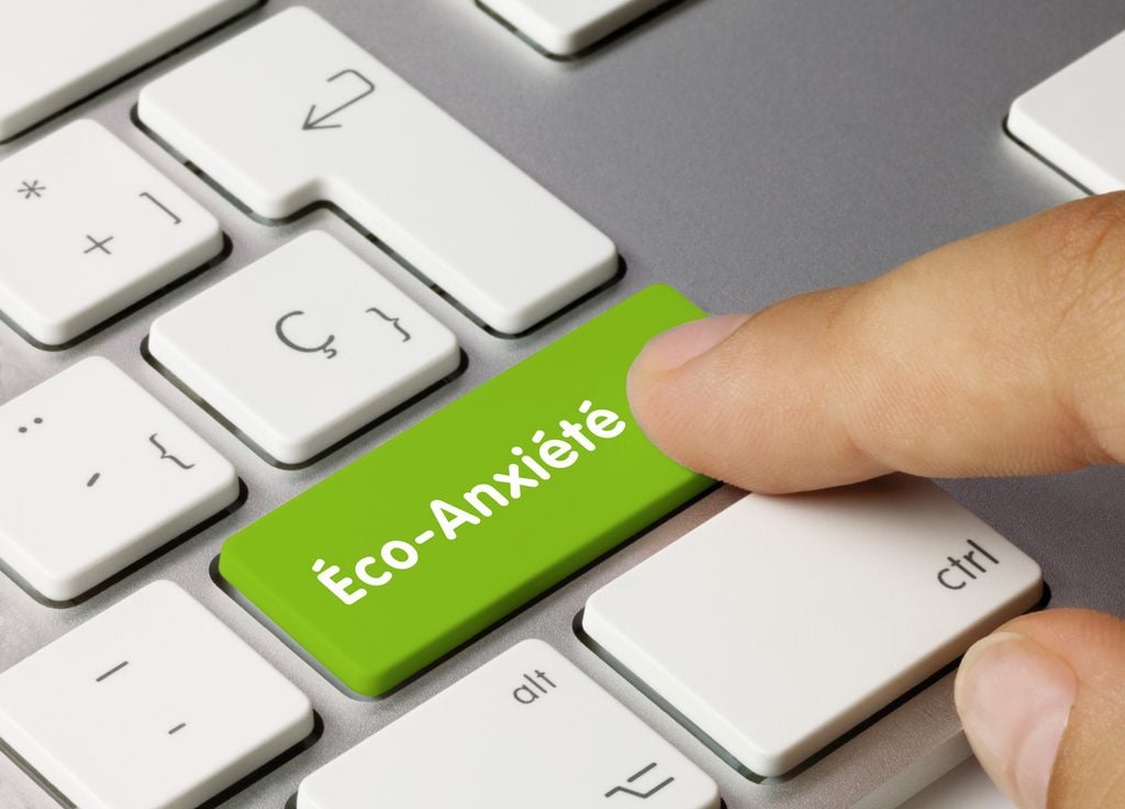 Eco-anxiety is a natural response adapted to the seriousness of environmental issues.