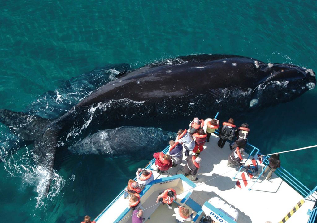 ecoturismo en argentina chubut ecoturismo en argentina chubut