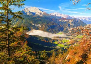Los ecosistemas alpinos enfrentan importantes cambios en la biodiversidad debido al cambio climático