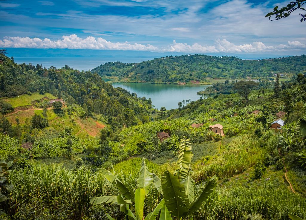Les champs cultivés autour du lac Kivu.