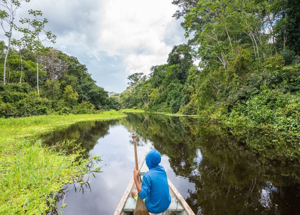 Balade en pirogue dans la forêt amazonienne.