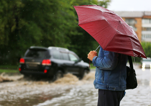 ECMWF y Meteored anticipan un agosto con lluvias sobre el promedio en gran parte de Chile