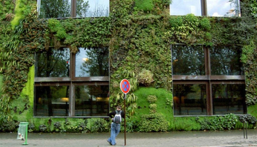 Jardins verticais Jardim suspenso é alternativa para criar mais áreas verdes nas cidades. Fonte: Ecodesenvolvimento