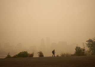 ¿Qué efectos produce la contaminación en el cerebro? Según un nuevo estudio, afecta la concentración y las emociones