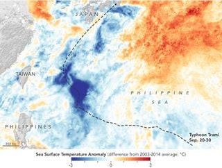Efectos de los ciclones tropicales en las profundidades del océano