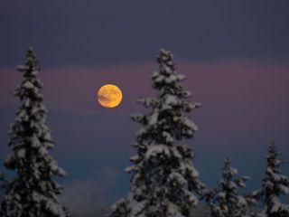 Efemérides astronómicas de la segunda quincena de enero: se espera una espectacular Luna Lobo