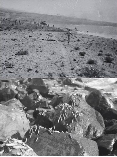 Efemérides Meteorológicas En Canarias Del Siglo Xx Y Xxi: Parte Ii Efemérides Meteorológicas En Canarias Del Siglo Xx Y Xxi: Parte Ii