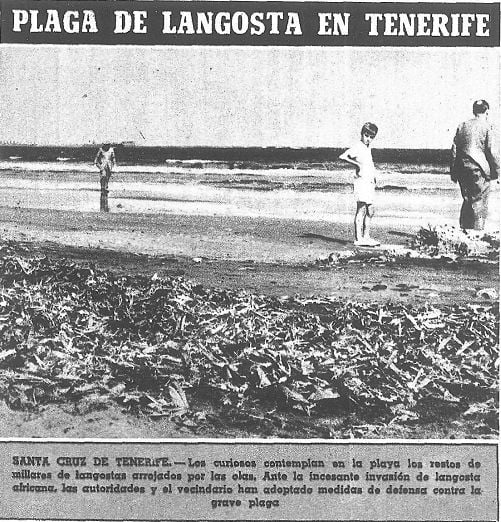 Efemérides Meteorológicas En Canarias Del Siglo Xx Y Xxi: Parte Ii Efemérides Meteorológicas En Canarias Del Siglo Xx Y Xxi: Parte Ii