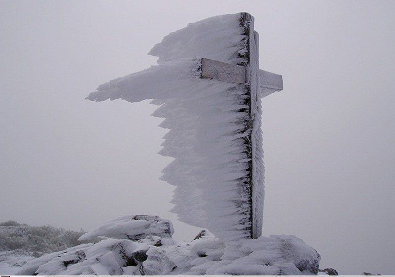 Cumbres de La Palma. Rayco Leal Cumbres de La Palma. Rayco Leal