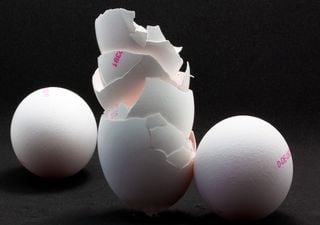 Los científicos confirman que las cáscaras de huevo recuperan tierras raras para una transición energética más ecológica
