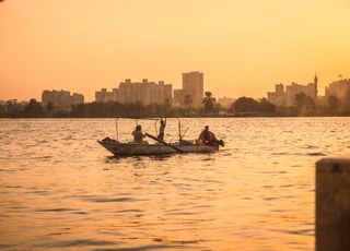 Égypte : les pêcheurs du Nil n'attrapent plus de poissons mais font une pêche insolite pour gagner leur vie !