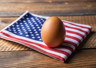Eier-Krise in den USA: Deutschland soll jetzt retten!