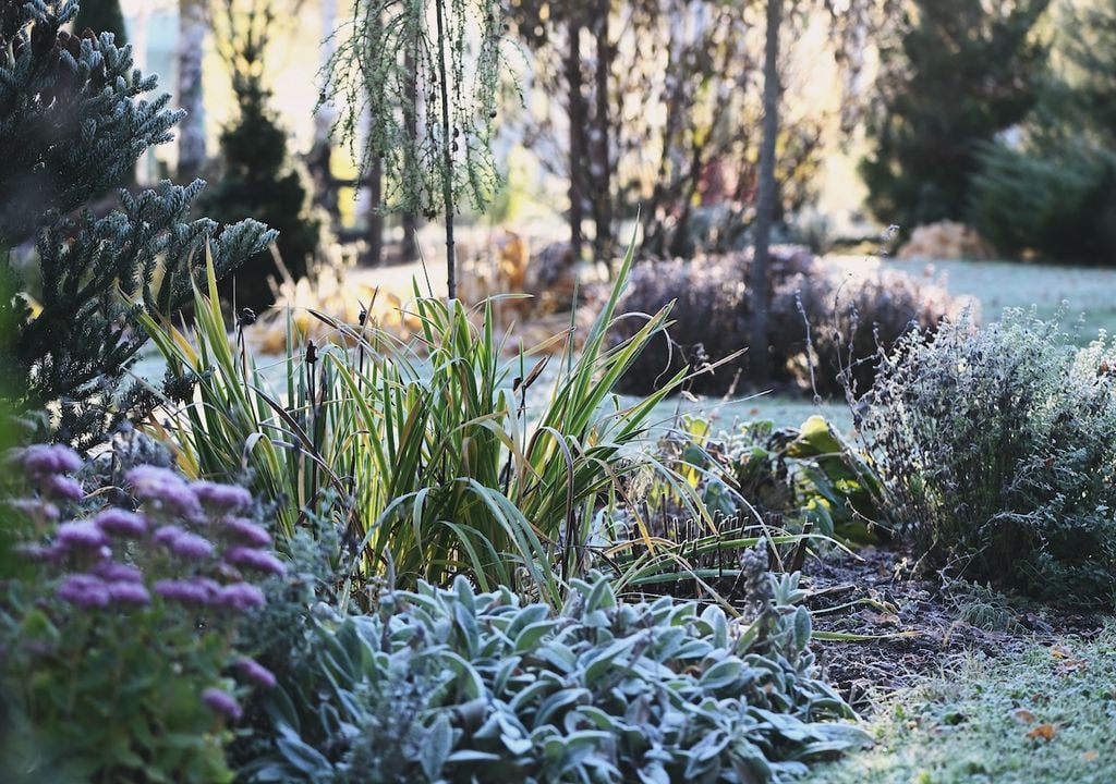 Herbstgartenblick mit dem ersten Frost