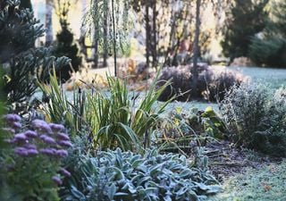 Frostschock im Oktober: Wetterexpertin Kathy Schrey sieht nach Sturm und Regen die Kälte kommen