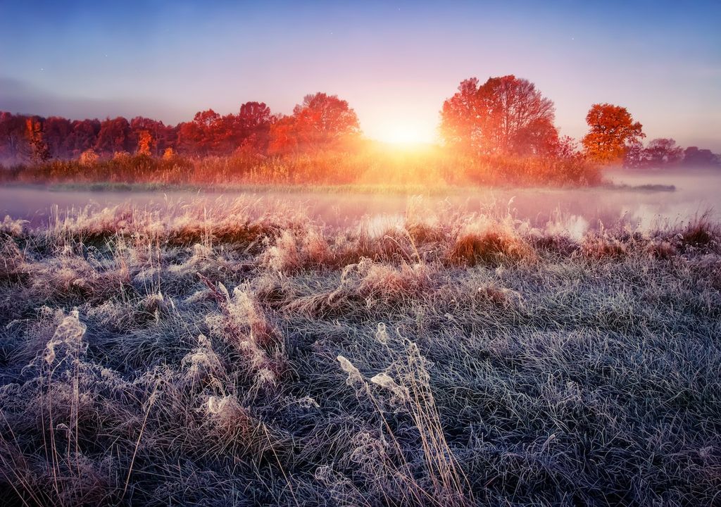 Morgendliche Herbstlandschaft auf einer frostigen Wiese bei Sonnenaufgang. Reif auf dem Gras. Morgendliche Herbstlandschaft auf einer frostigen Wiese bei Sonnenaufgang. Reif auf dem Gras.