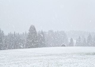 Ein Riss im Polarwirbel &ndash; und der Mildwinter ist Geschichte: So schnell kippt Deutschland in Eisesk&auml;lte und Schneechaos