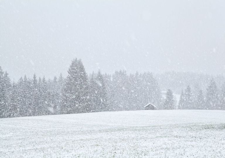 Ein Riss im Polarwirbel &ndash; und der Mildwinter ist Geschichte: So schnell kippt Deutschland in Eisesk&auml;lte und Schneechaos
