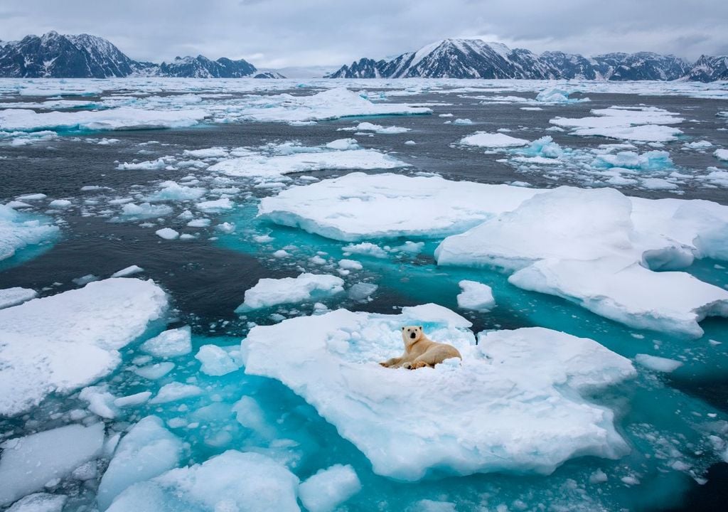 arktis, wetter, polarwirbel Meteorologische Abläufe in der Arktis könnten unseren Winter kurzfristig noch ganz anders ausfallen lassen.
