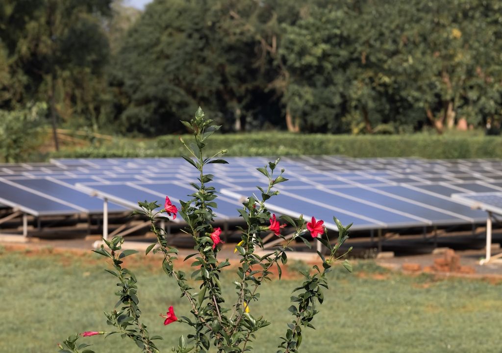 Sonnenschein, Sommer, 2024, Deutschland Sonnenschein, Sommer, 2024, Deutschland