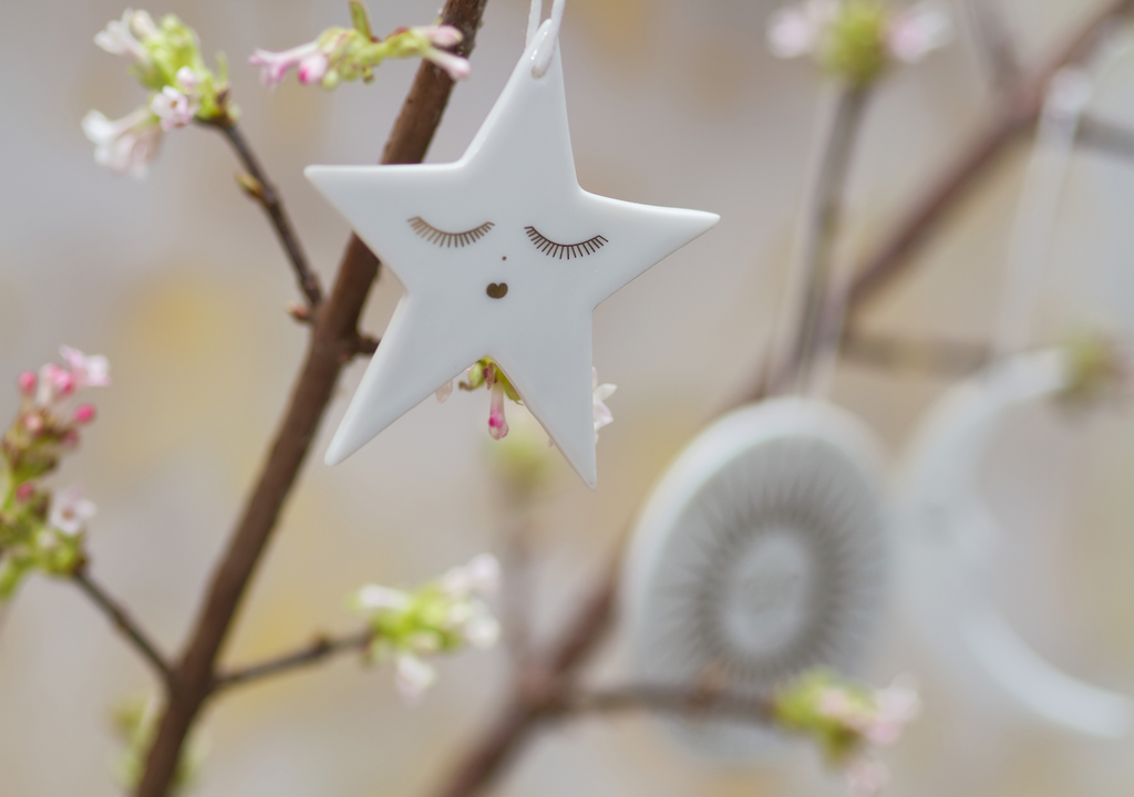 Zweig, Geschichte, Hoffnung, Geduld, Geheimnisse, Weihnachtszeit