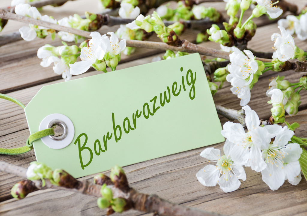 Barbarazweig, Legende, heiligen Barbara, 4. Dezember, Weihnachten