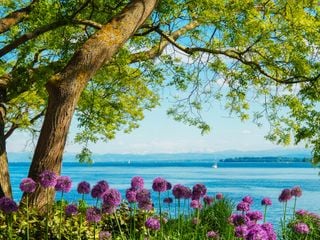 Einfach abtauchen: Dies sind die Seen in Europa, von denen die ganze Welt tr&auml;umt