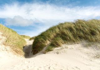 Einfach, schön und unkompliziert – Urlaub an der Westküste Dänemarks