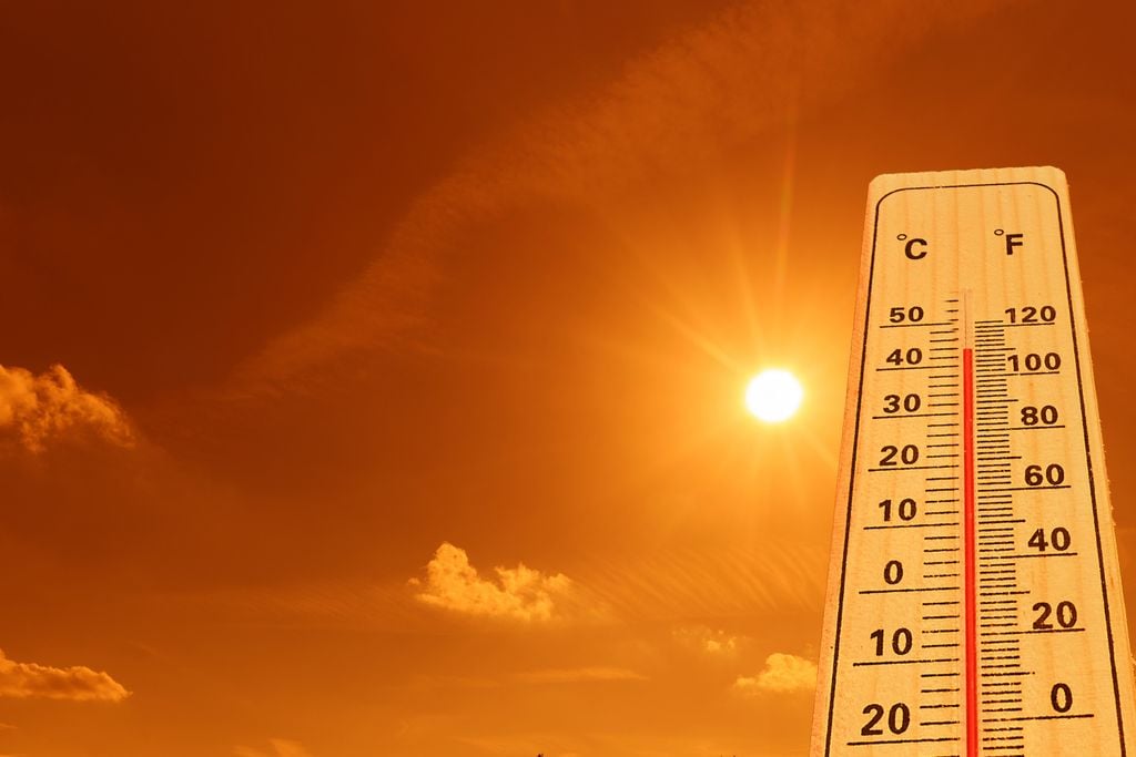 Hitzeperioden setzen den Korallen besonders zu