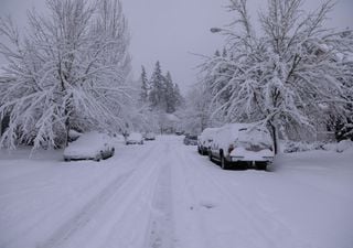 Eis-Comeback 2025? Wetterforscher Beurer erklärt: Warum dieser Winter das große Schnee-Drama bringen könnte!