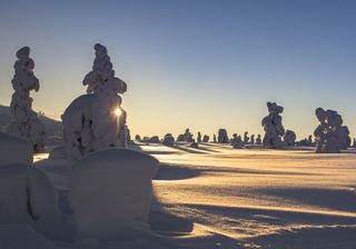 Eisiger und schneereicher Februar 2019!