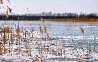 Eiswoche bringt neue Kälterekorde - Erfrierungen drohen