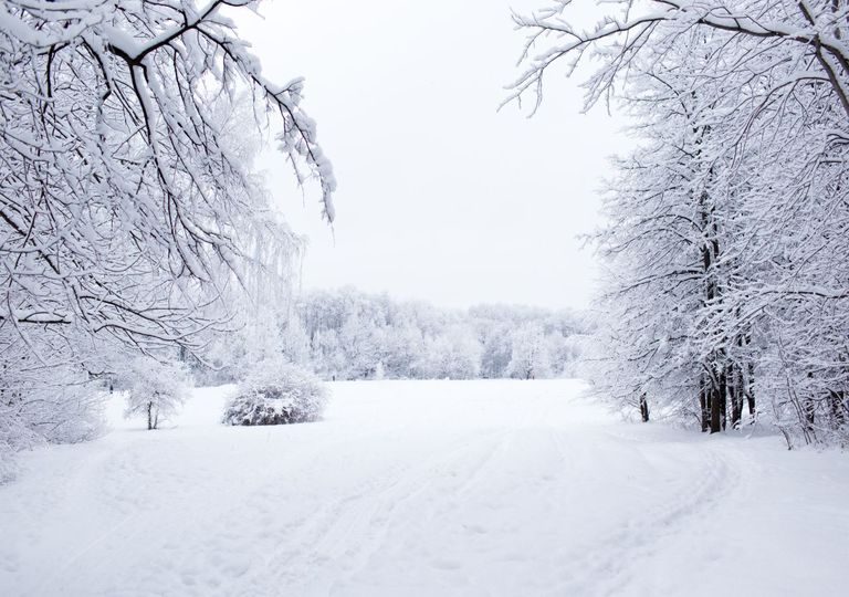 Eiszeit Eiszeit
