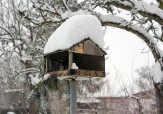 Eiszeit im März: Wird es in Deutschland bald viel Schnee und Frost geben?