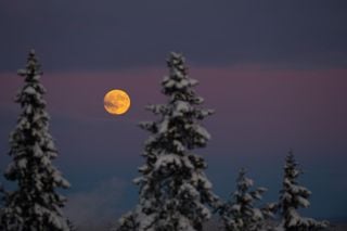 El 13 de enero no te puedes perder la Luna del Lobo: la primer Luna llena de 2025