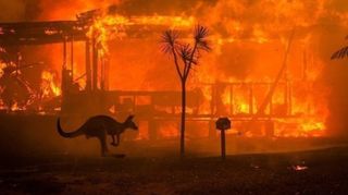 El 75% de los australianos afectados por los incendios forestales