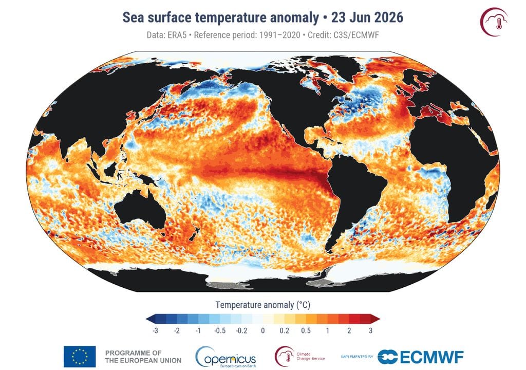 Anomalie della temperatura superficiale del mare il 23 giugno 2026. Fonte: Copernicus.