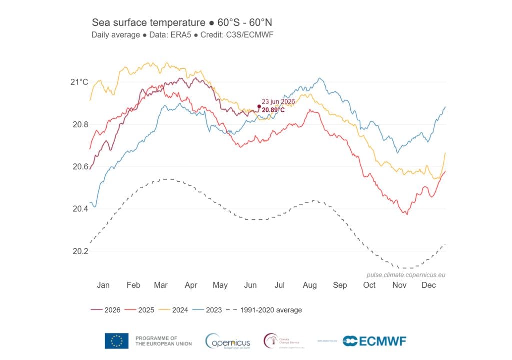 Confronto della media giornaliera della temperatura superficiale del mare globale negli ultimi quattro anni. Fonte: Copernicus.