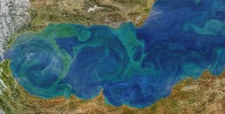 El agua: su trayectoria entre la superficie y la profundidad oceánica