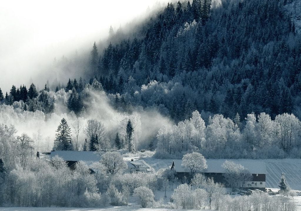 Aire frío almacenado en un valle, con nieve, niebla y escarcha en la vegetación