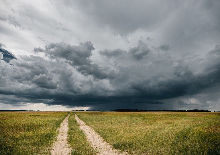 Tormenta en el campo Tormenta en el campo