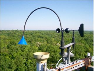 El aire seco estresa más a las plantas que la sequedad del suelo